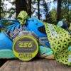2024/2025 Distance Challenge Full Medal Set - SECONDS QUALITY - Image 2