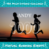 2024/2025 Distance Challenge Full Medal Set - SECONDS QUALITY - Image 8