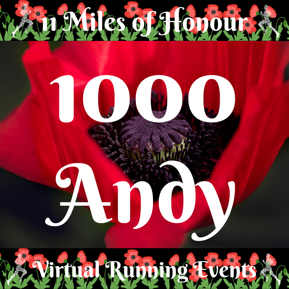 11 Miles of Honour - Image 3