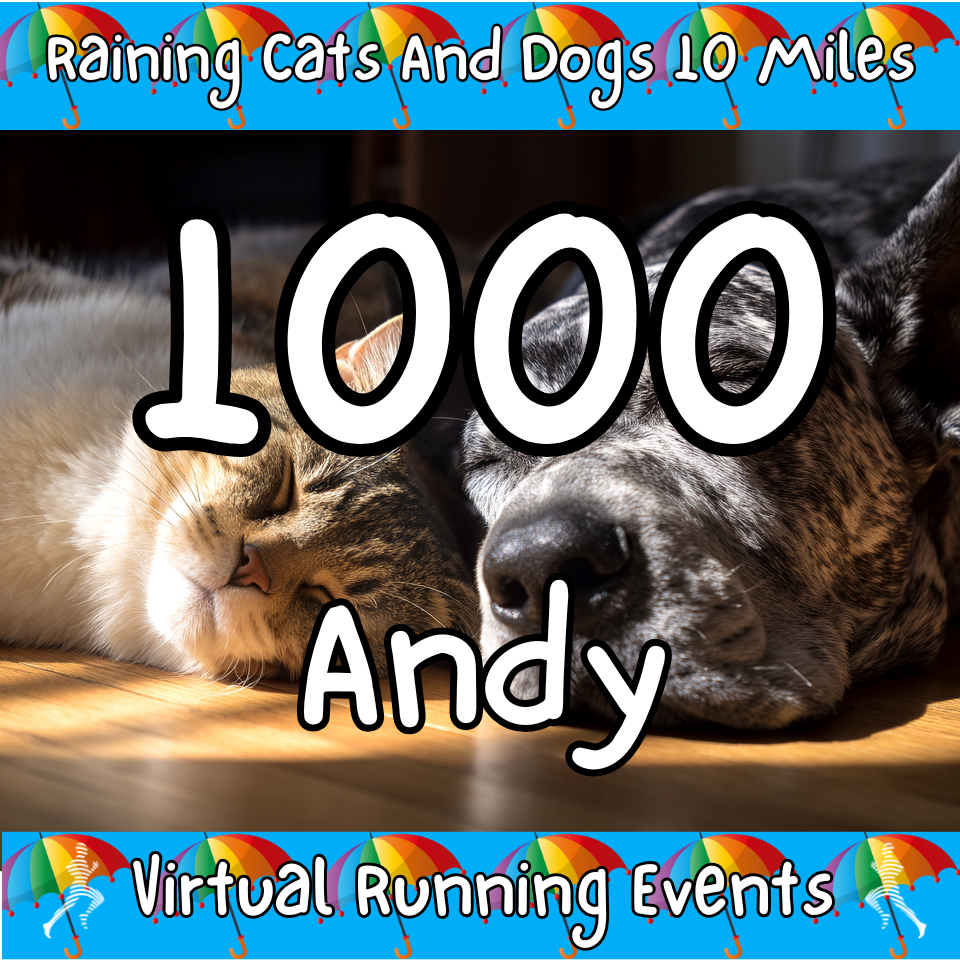 Raining Cats And Dogs 10 Miles - Image 3